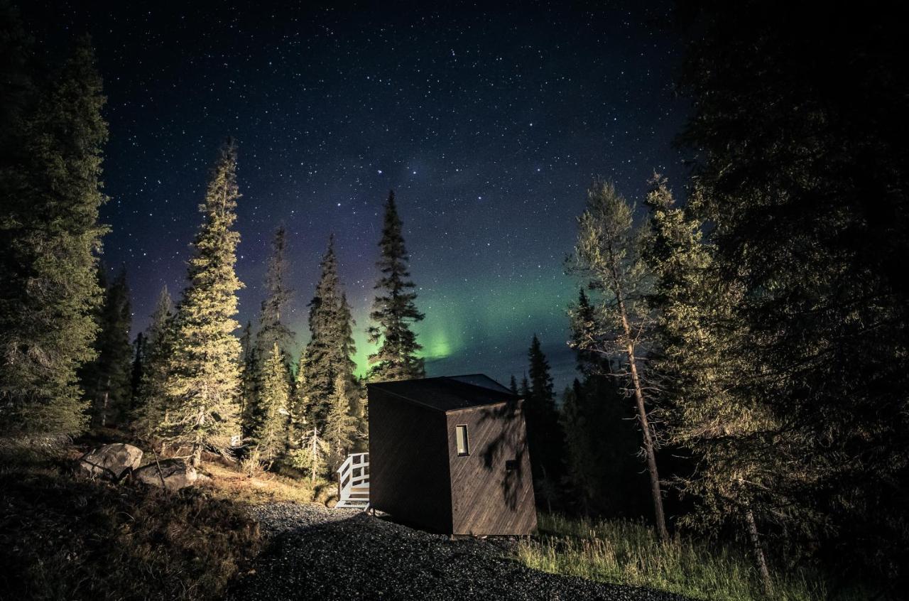 Magical Pond Nature Igloos Ruka Eksteriør billede
